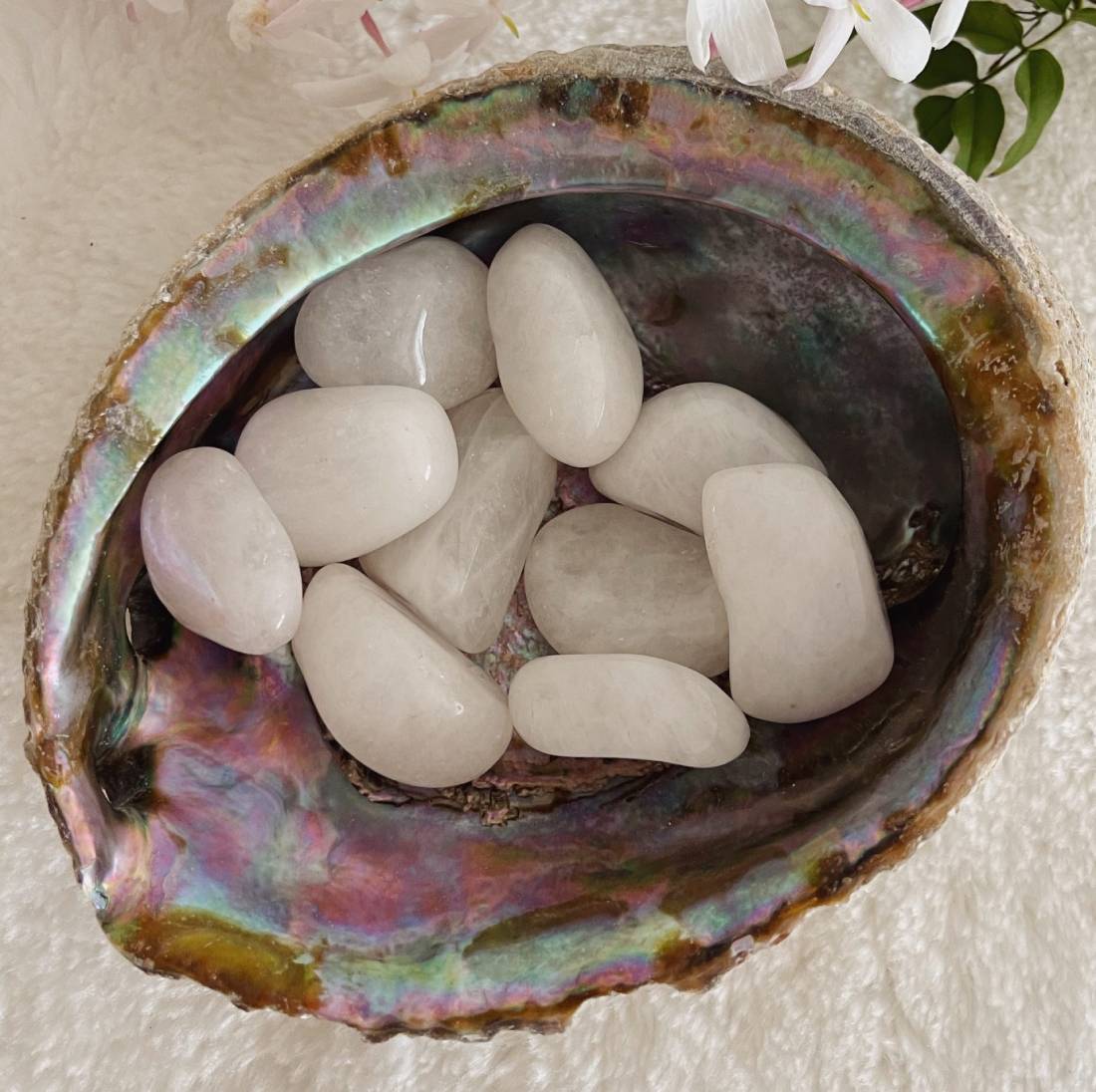 New Project (57) (1) (18) (60)