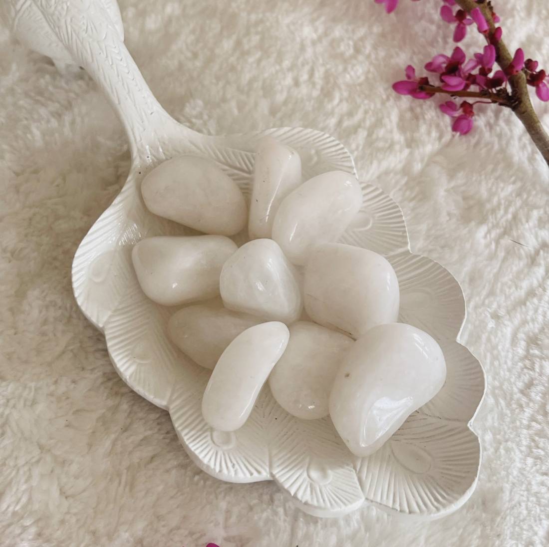 New Project (57) (1) (18) (61)