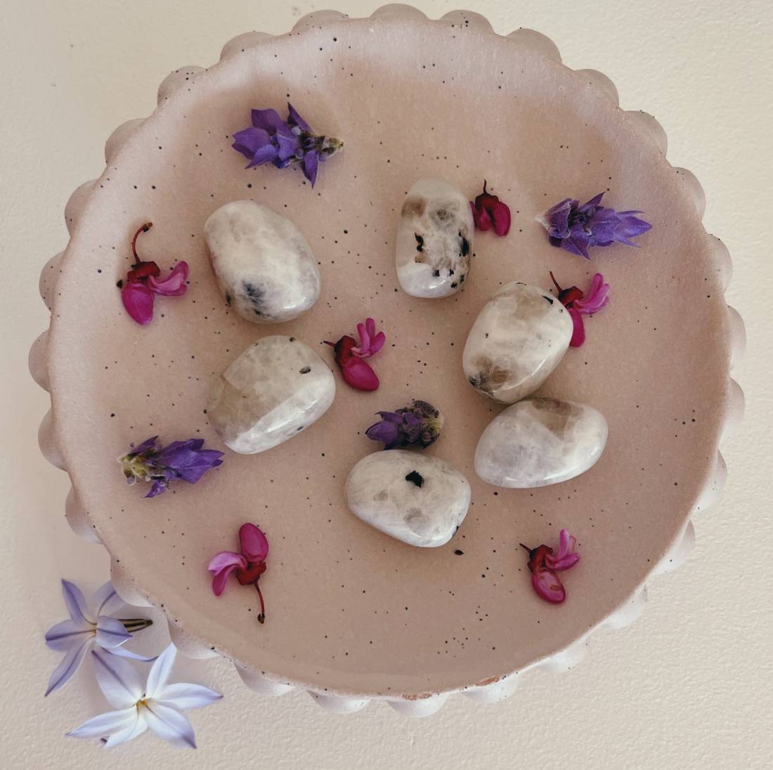 New Project (57) (1) (18) (7)