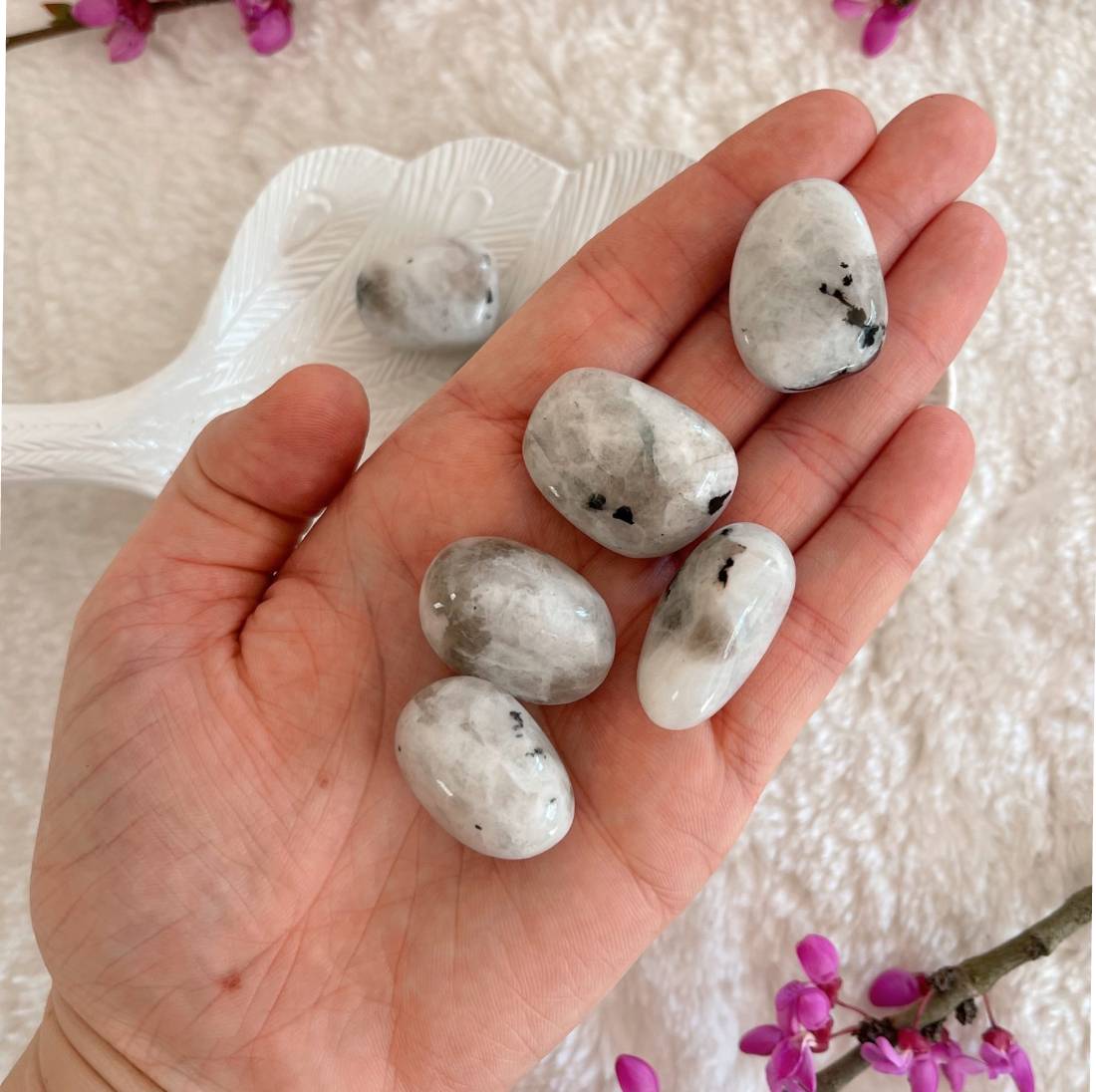 New Project (57) (1) (18) (8)