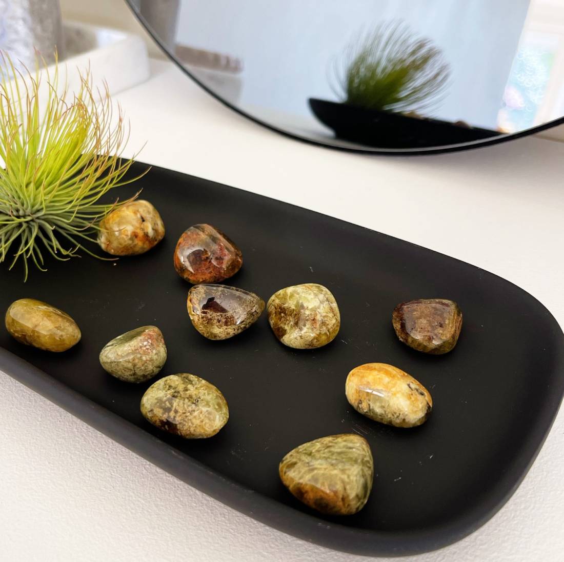 New Project (57) (1) (6)