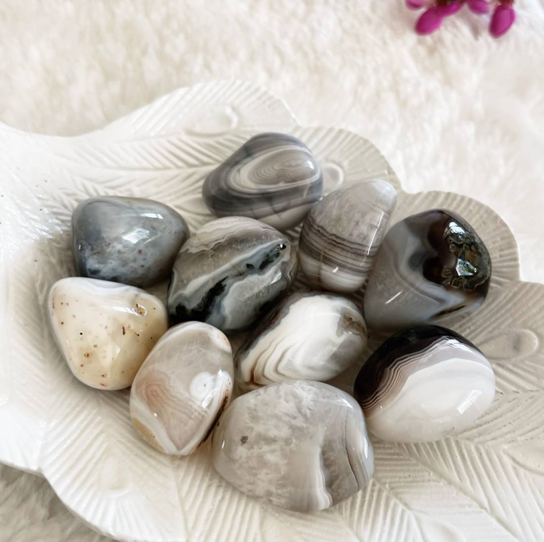 New Project (57) (6)