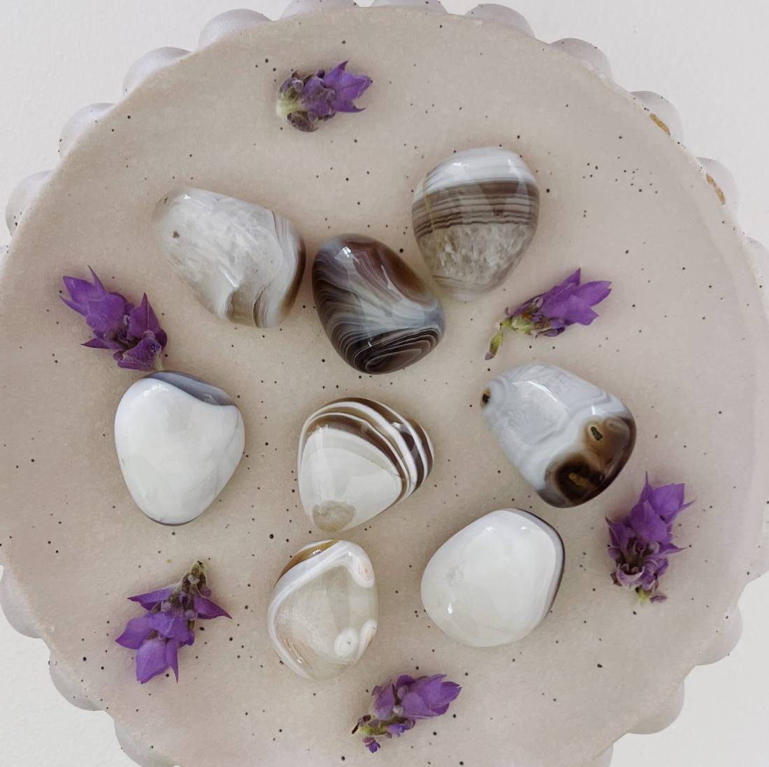 New Project (57) (7)