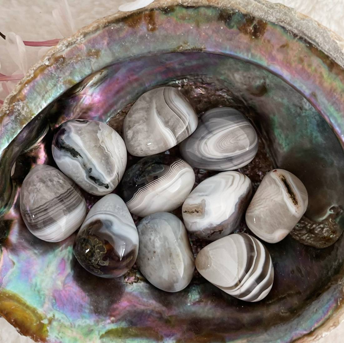 New Project (57) (8)