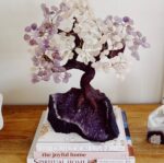 Mixed Bonsai Tree - Image 4