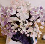 Mixed Bonsai Tree - Image 2