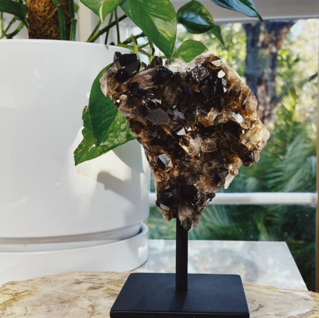 New Project (7) (11) (45)