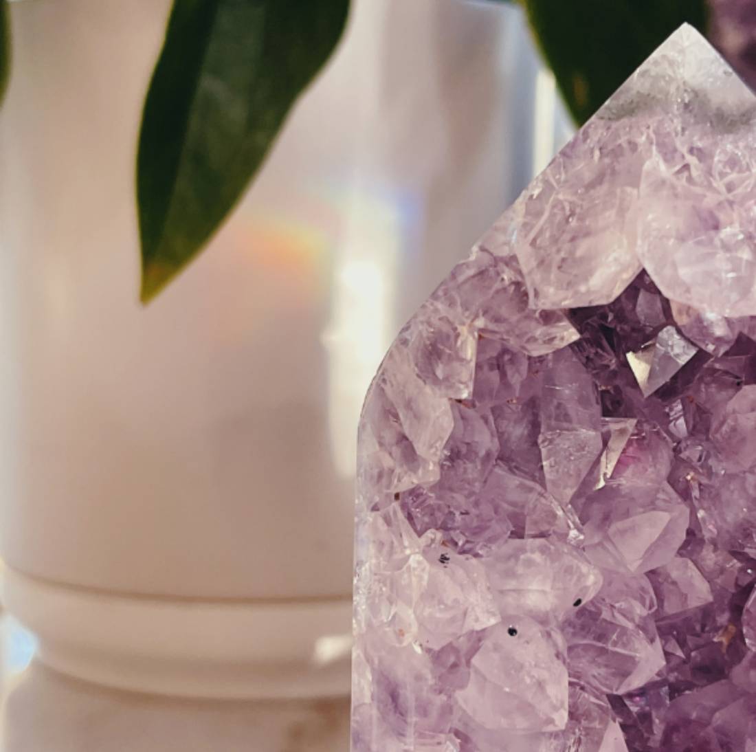 New Project (7) (11) (8)