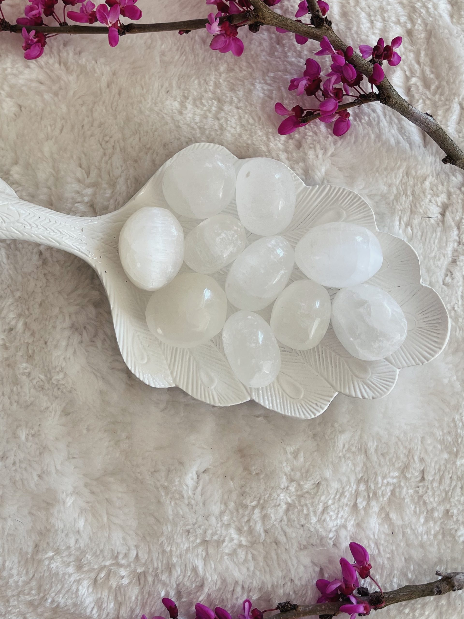 Photo-30-8-2023-12-31-06-pm-scaled